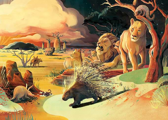 Safari