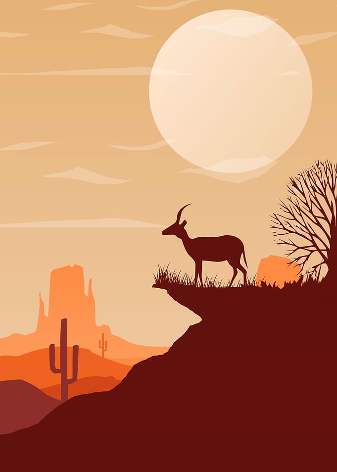 Deer