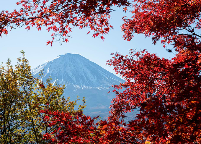 Mt Fuji in Autumn