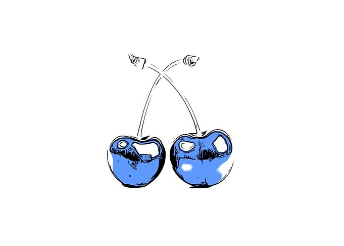 Blue Fruit