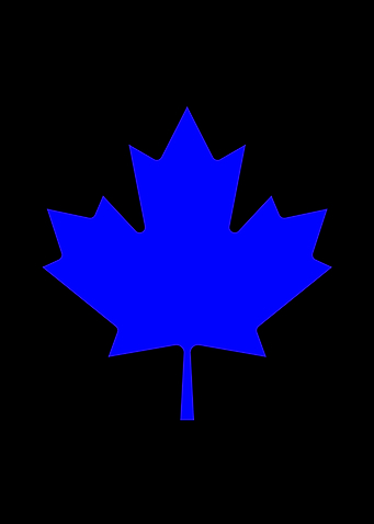 Blue Maple