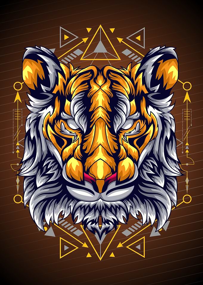 TIGER GEOMETRY HEAD