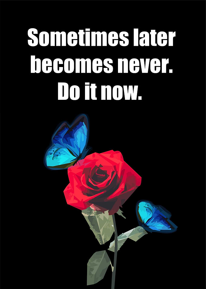 Rose with quotes