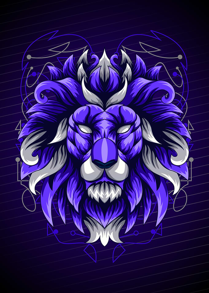 LEO GEOMETRY