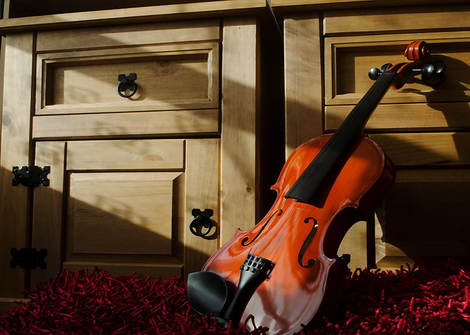 bowed instrument