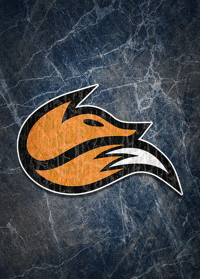 Echo Fox