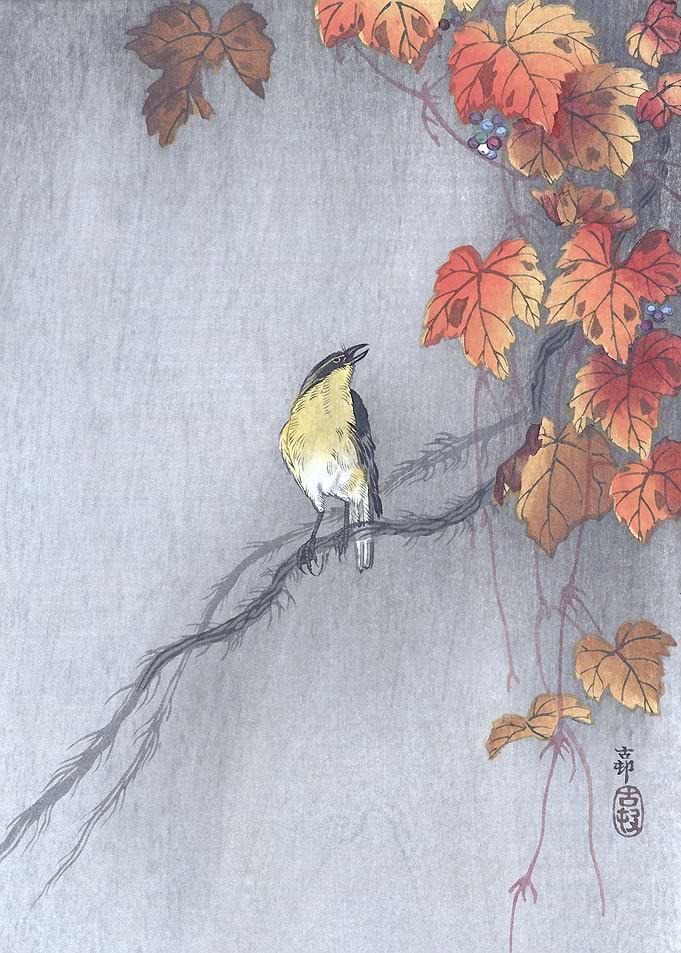 Bird on Grape vine Woodcut