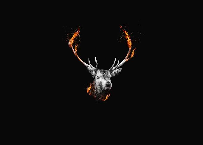 The Stag