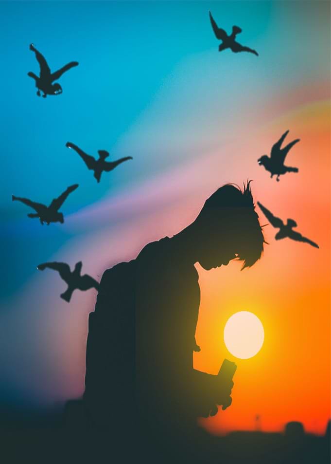 Sunset Boy