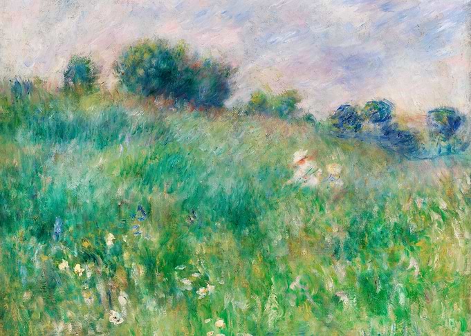 Meadow