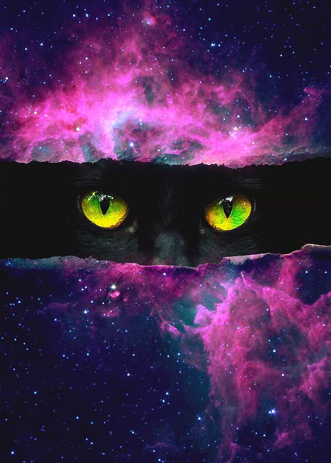 The Indifferent Universe