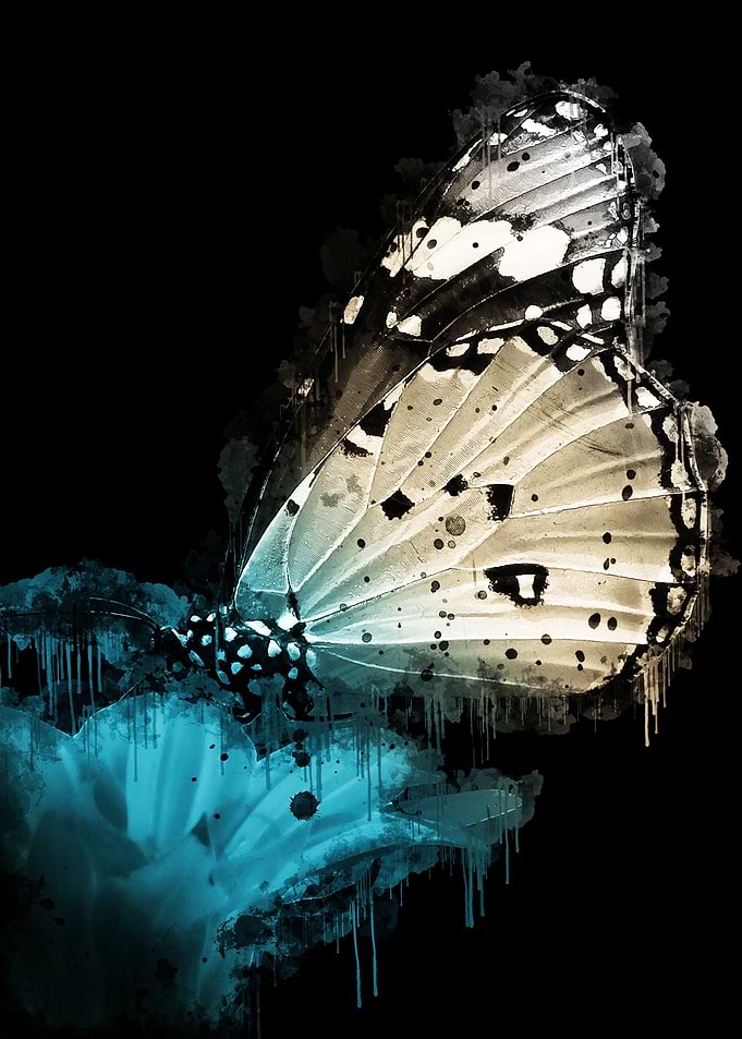 Butterfly Flower Painting