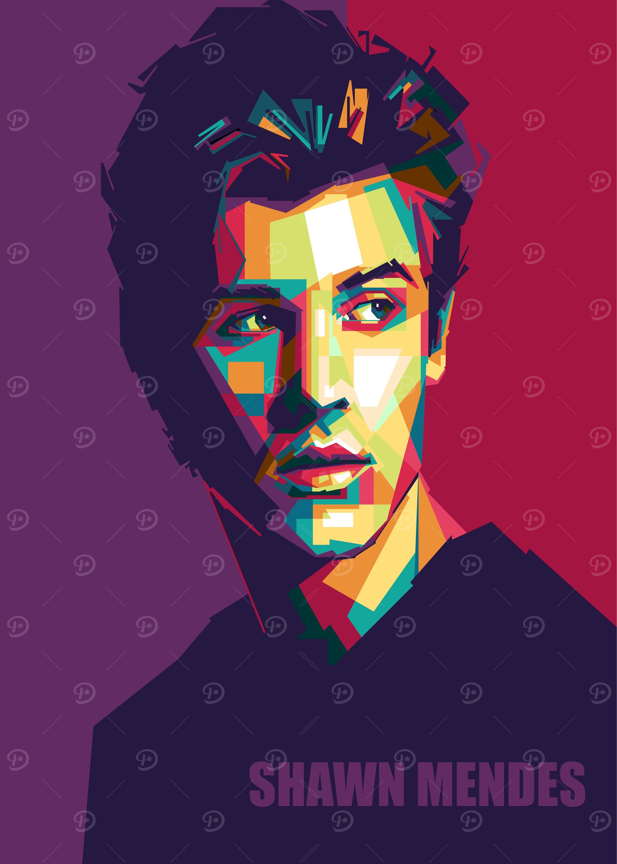 shawn mendez