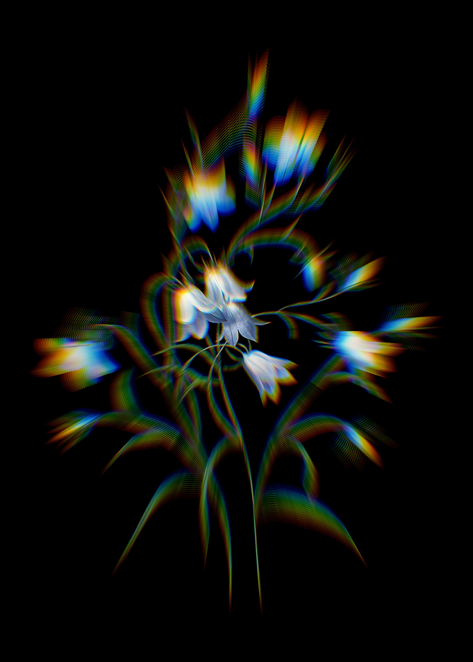Prism Campanule Clochette