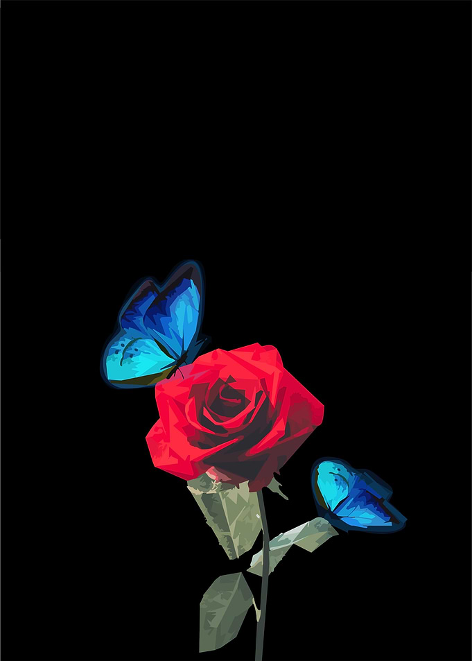 Rose Flower