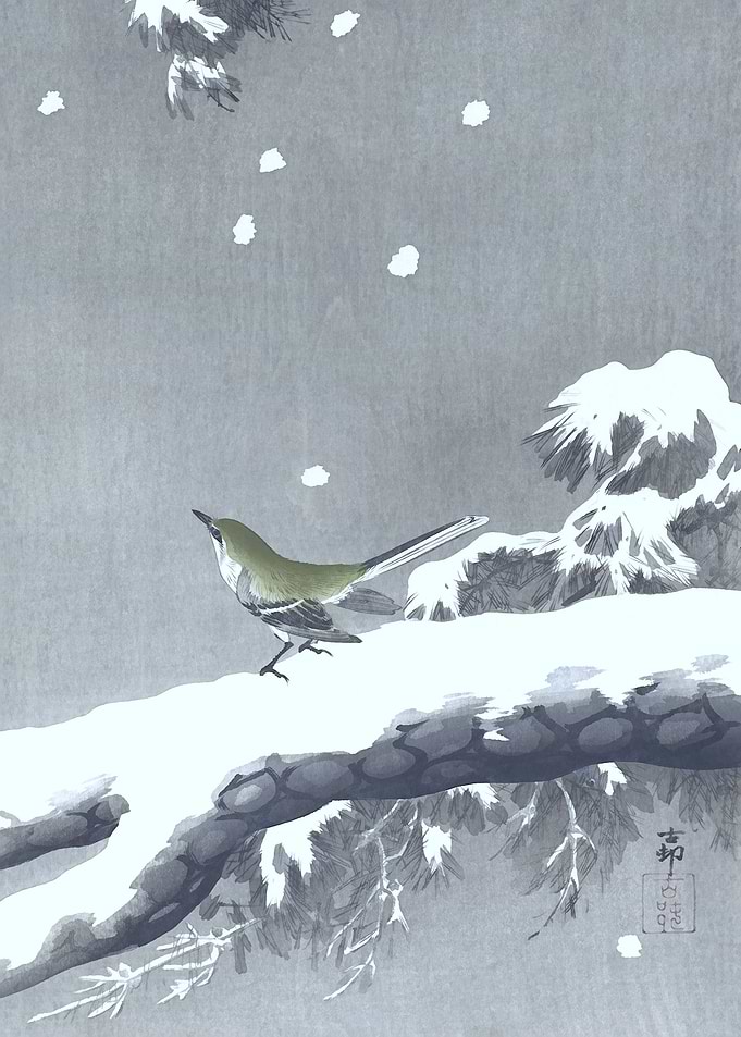 Little Bird in Snow Print