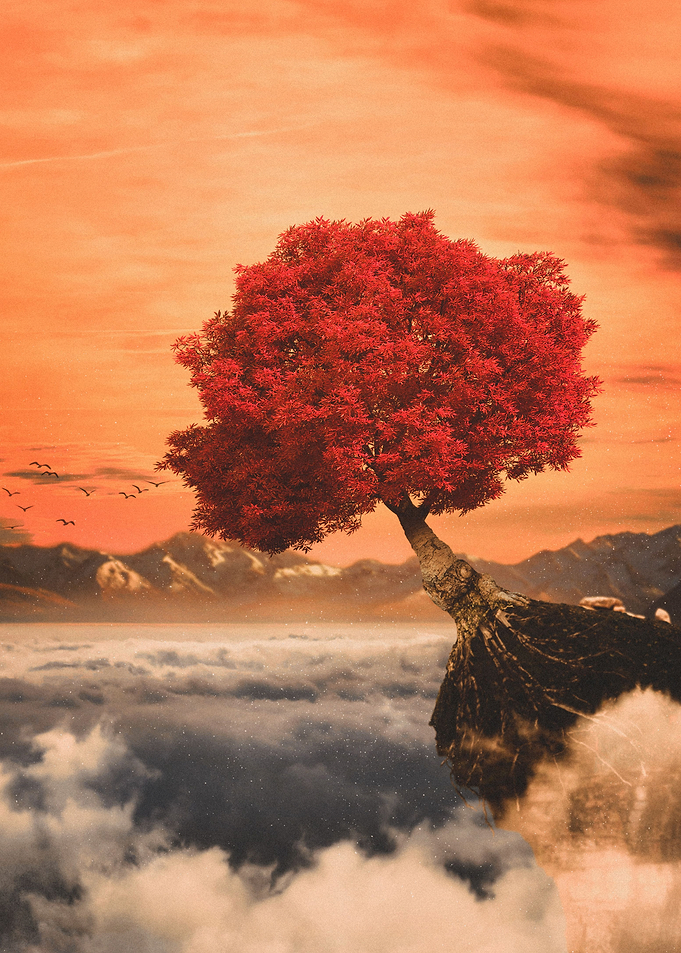 Red skies