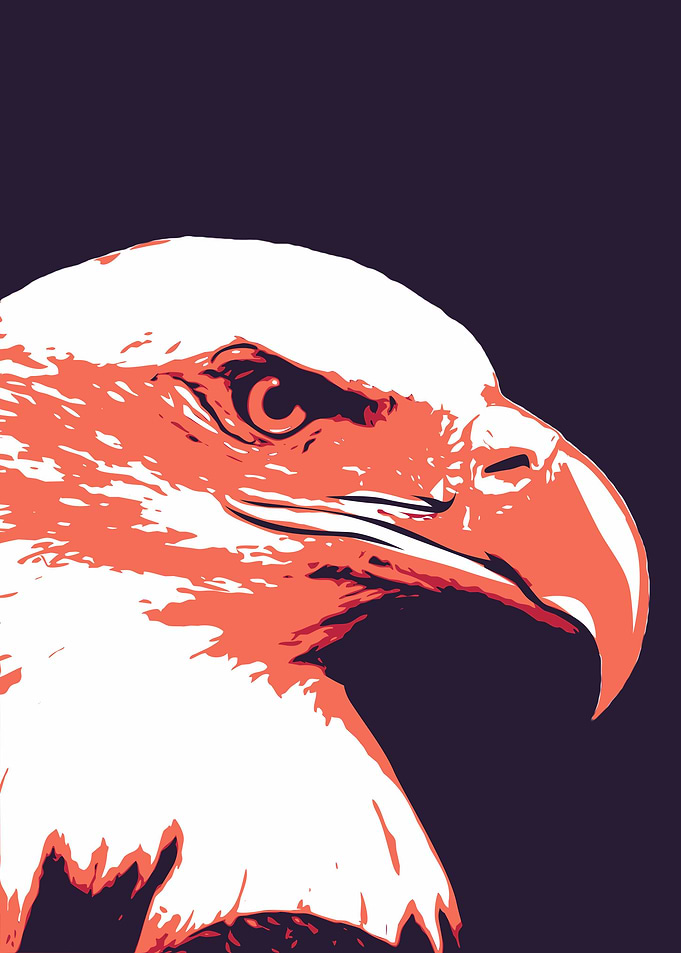 Bald Eagle Pop Art
