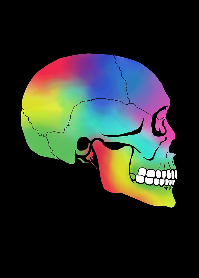 Skull Pop Art