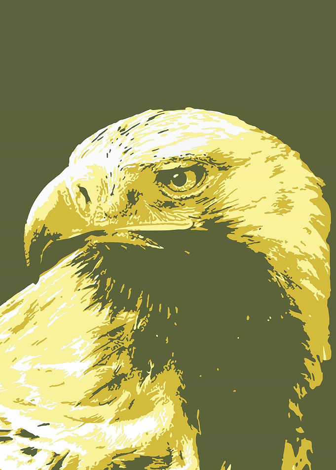 Eagle v14 Pop Art