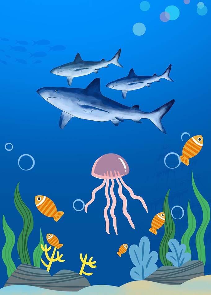 Shark Fishes Underwater