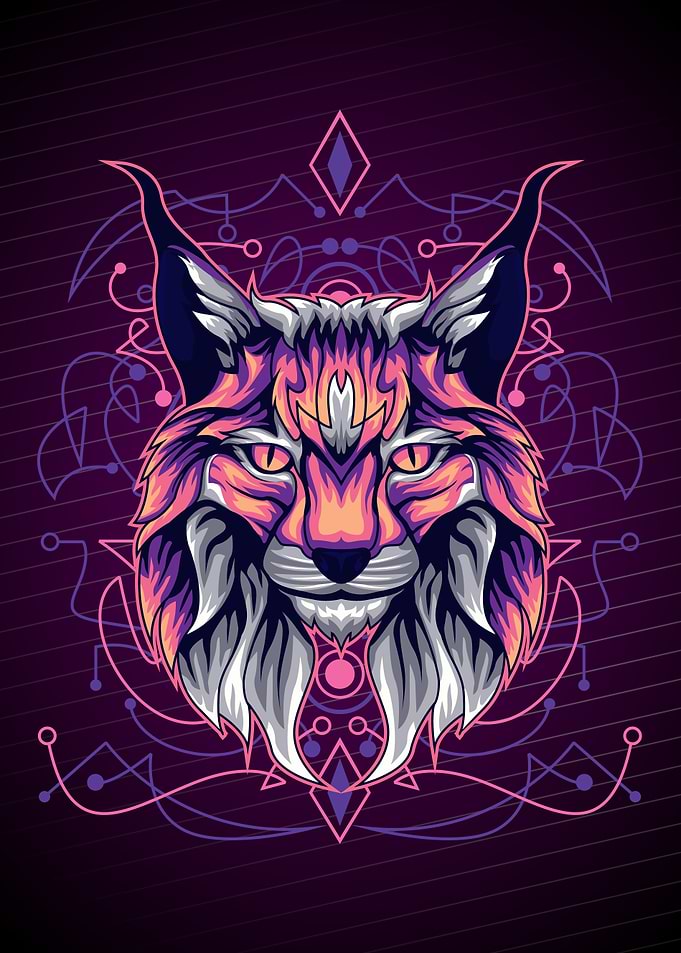 CARACAL SOFT