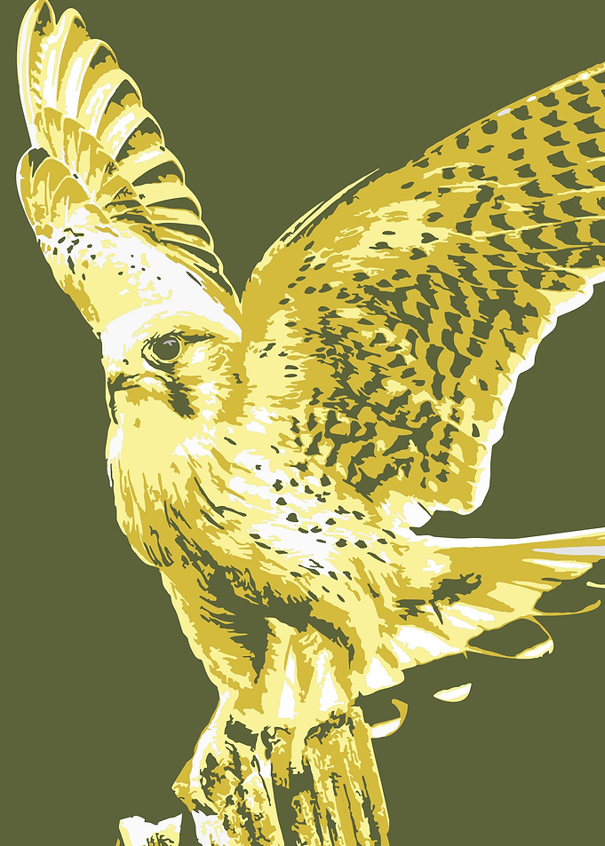 Eagle v11 Pop Art