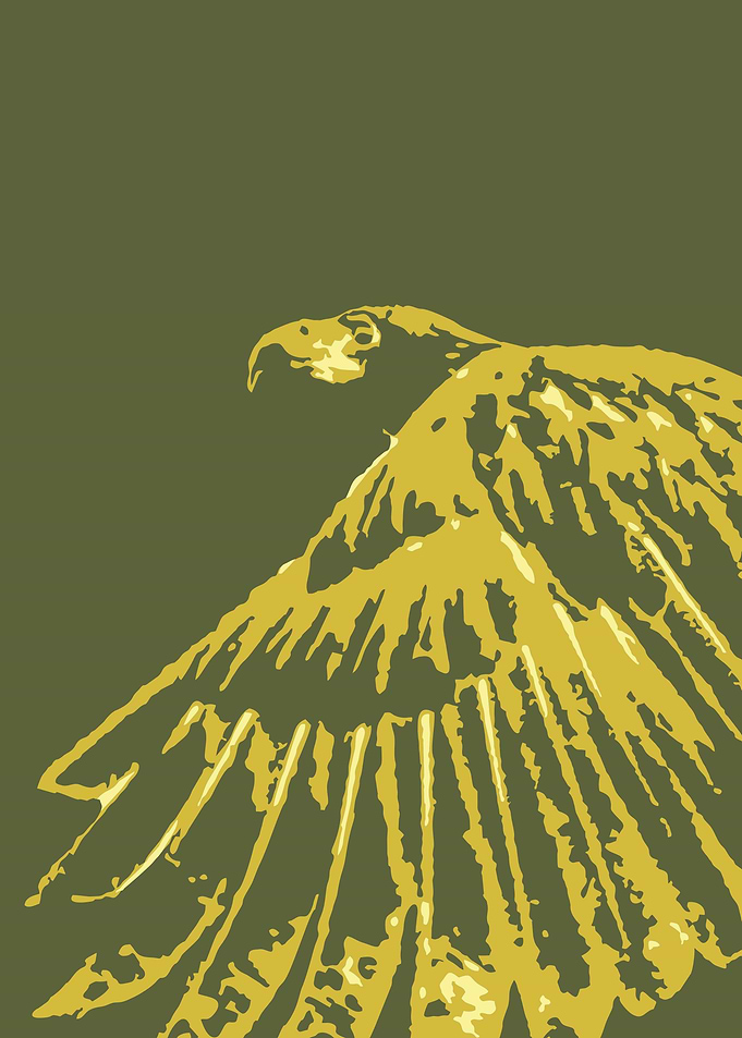 Eagle v12 Pop Art
