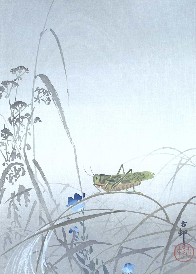 Resting Grasshopper Print