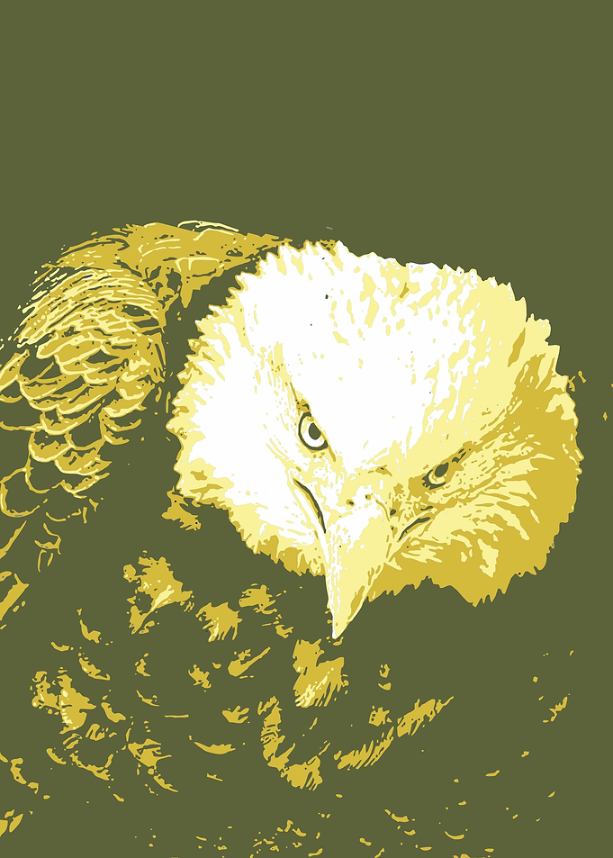 Eagle v13 Pop Art