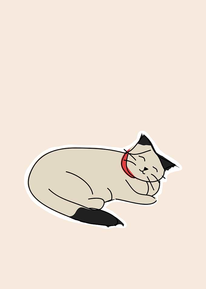 Sleeping Cat