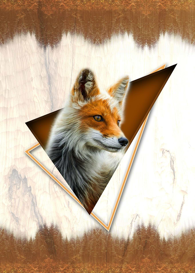 Geo Fox
