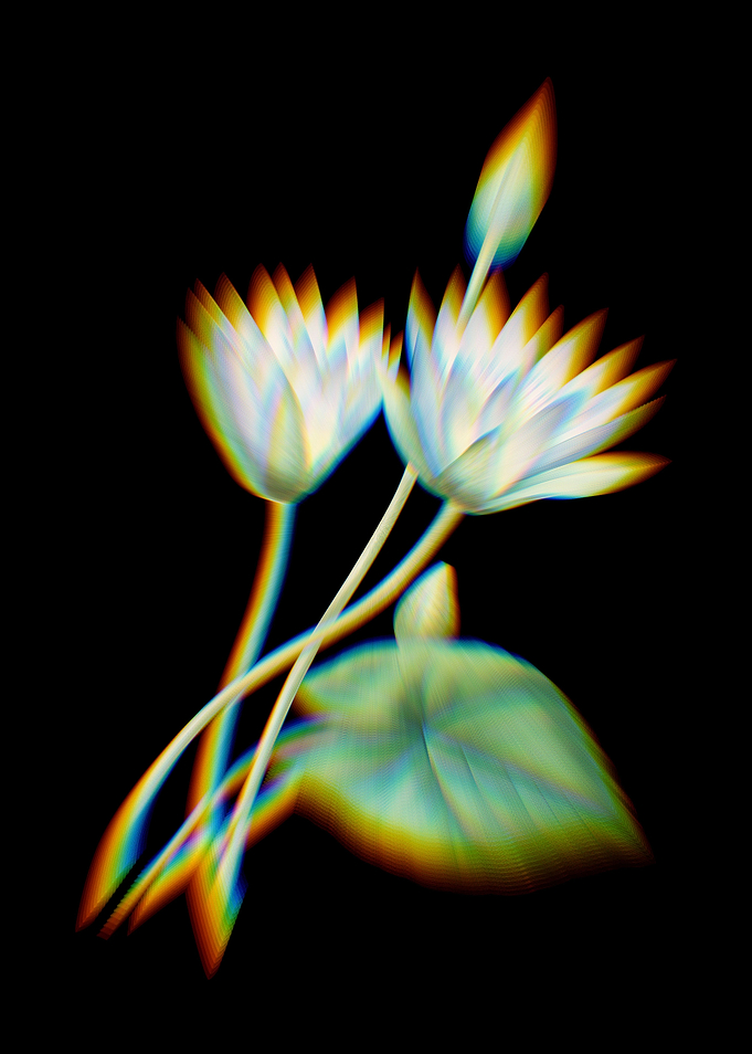 Prism Egyptian Lotus