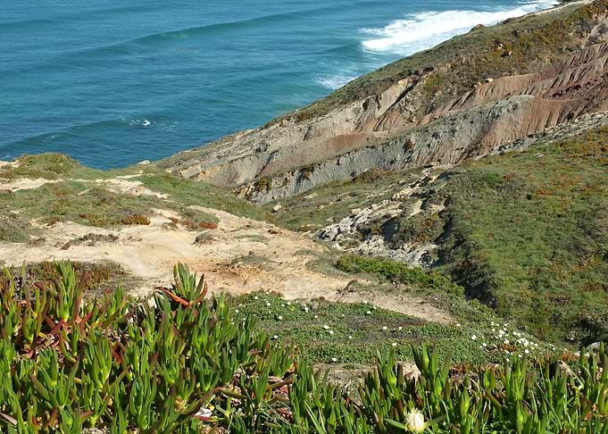 Dunes in Foz de Arelho