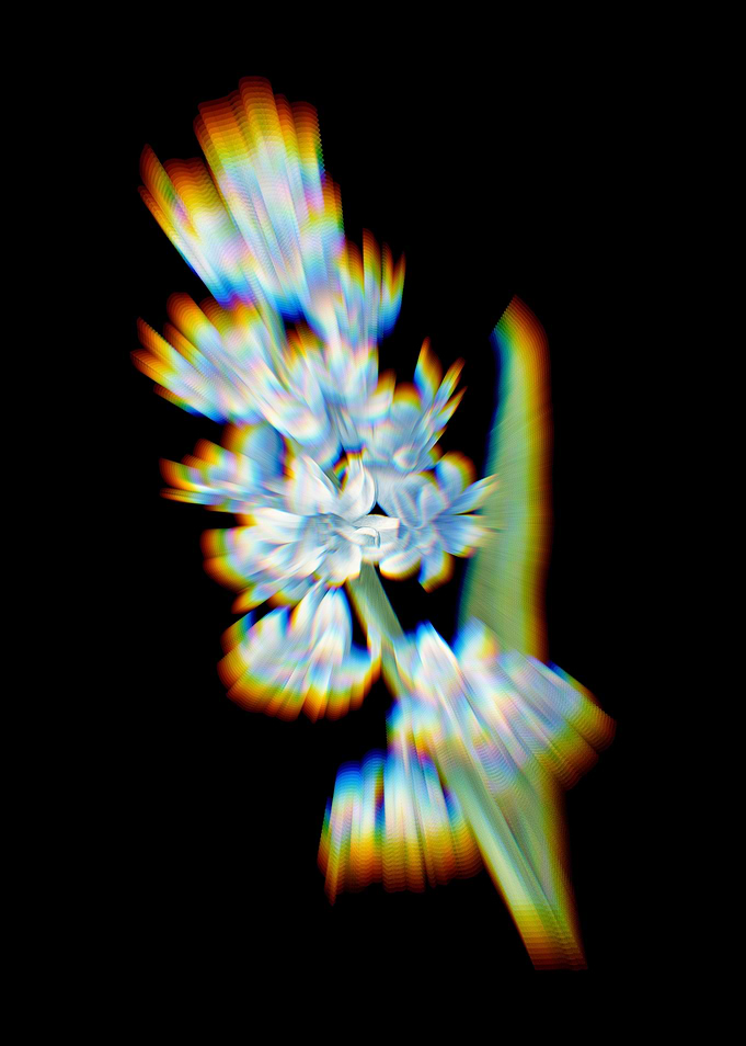 Prism Hyacinth