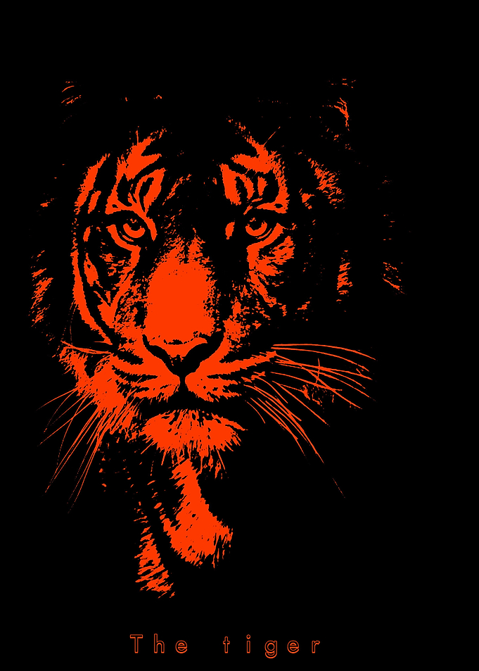 dashing tiger