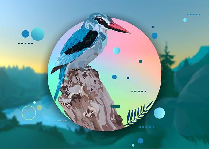 Bird vector