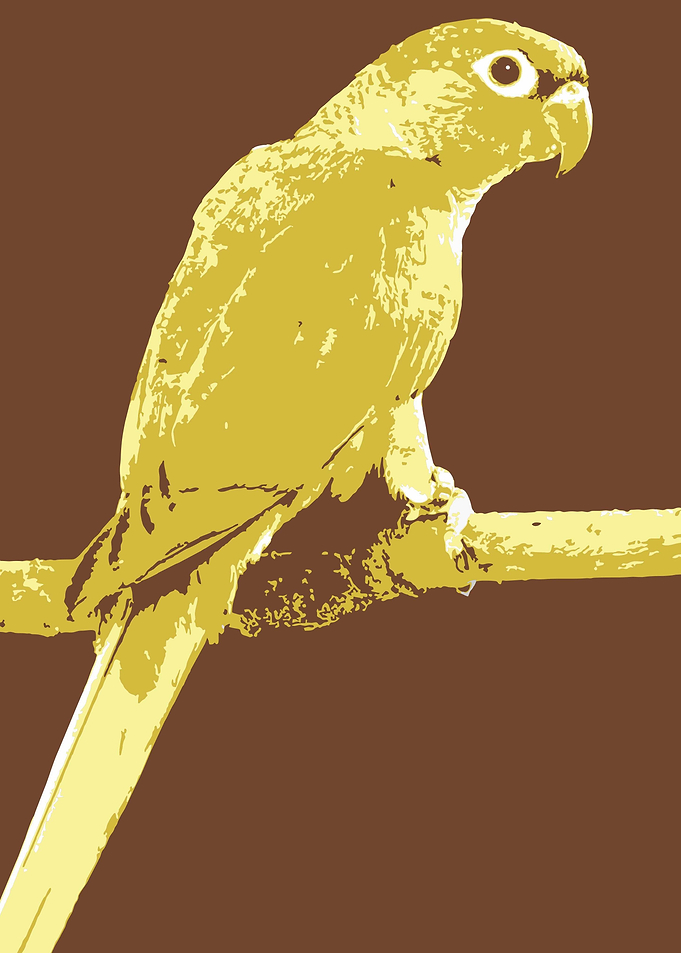 Parrots v8 Pop Art