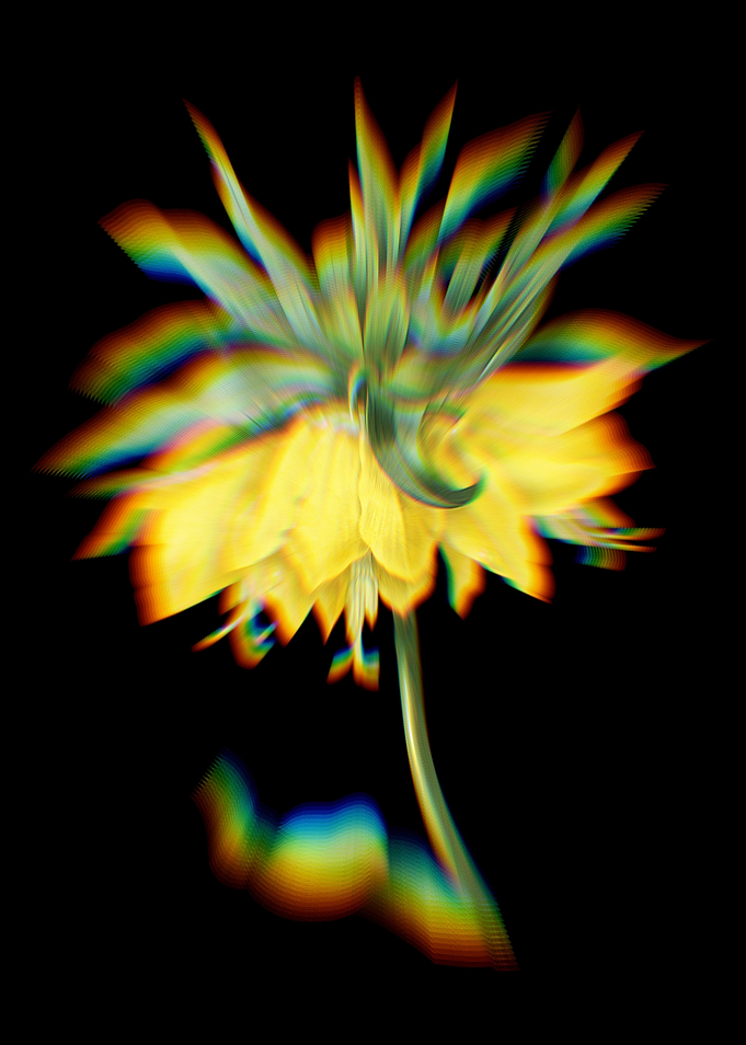 Prism Kaisers Crown