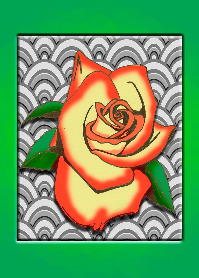 Two Tone Rose