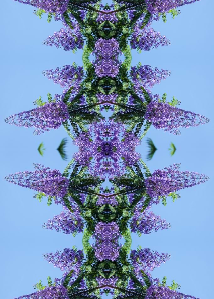 Fractal