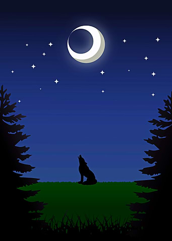 The Wolf