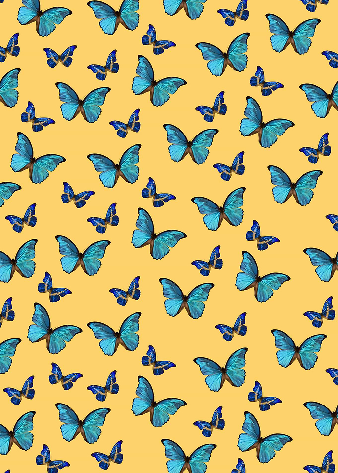 Blue Yellow Butterfly 1