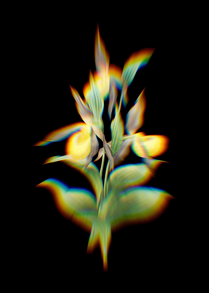 Prism Sabot des Alpes