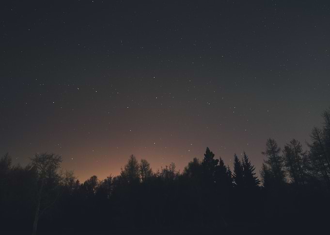 night