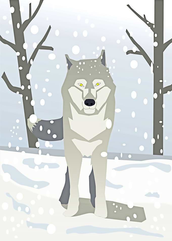 The wolf