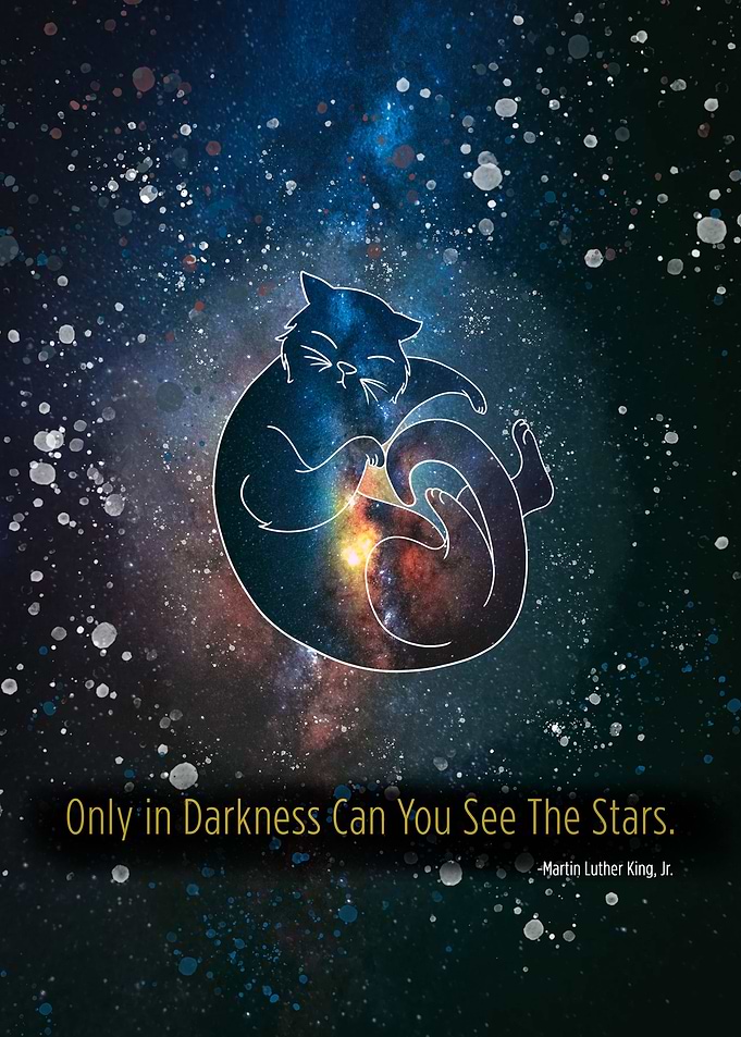 See The Stars