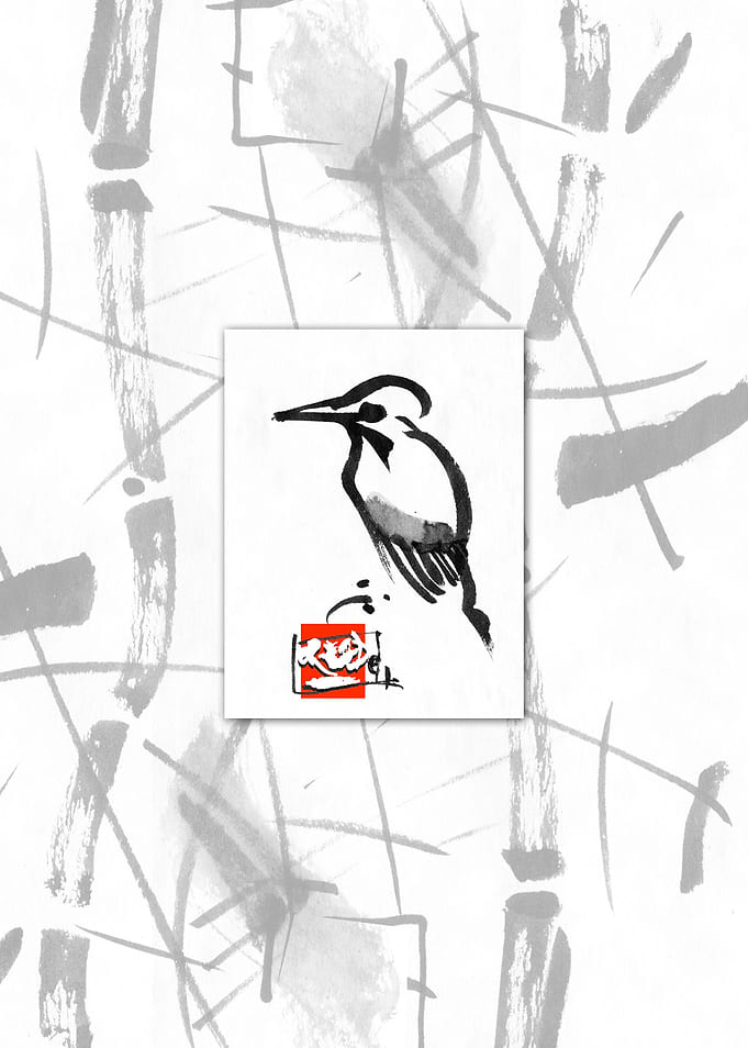 kingfisher1 invert