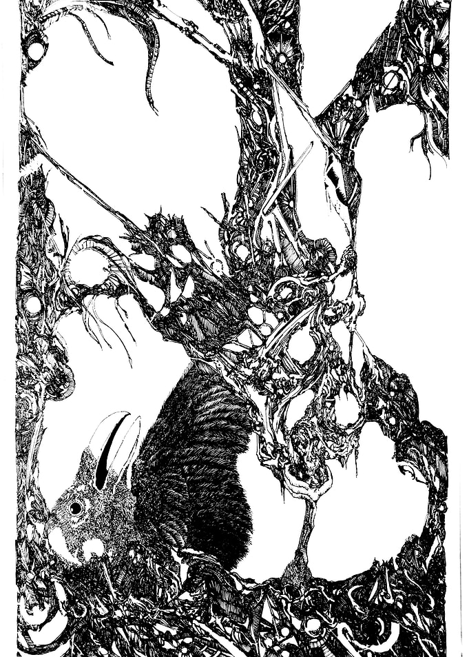 Black bird