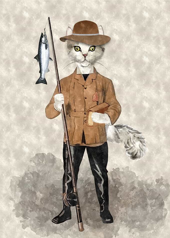 CATch of the Day